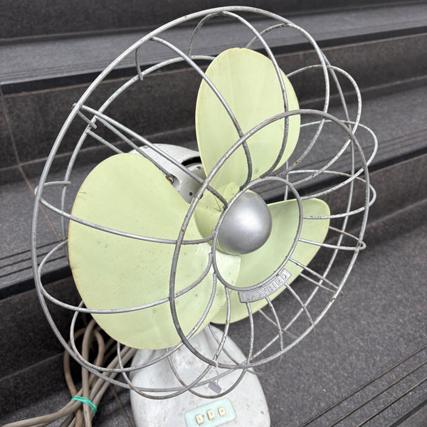 Mid Century Lady Bird Fan