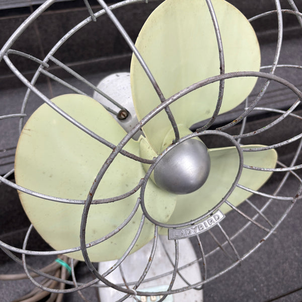 Mid Century Lady Bird Fan